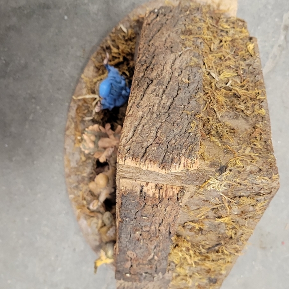 Vintage Antique Nativity Christmas Decoration Made In Italy Set - Picture 2 of 4